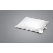 Jastuk perjani Srebrni san Classic 50x70cm OK