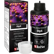 shumee DipX koralni dip Red Sea DipX 500 ml
