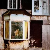 Les Louanges - Alouette! (Gatefold) (Citrus Ecomix Coloured) (2 LP)