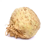 Celer korijen BIO kg