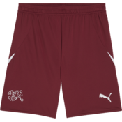 Kratke hlače Pua SFV Shorts Replica 2024