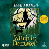 AUDIBOOK Avdio knjiga: Witch in Danger