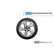Originalni zimski komplet koles Audi Q6 E-TRON - 19 col (Doppelarm-Flag-Design) - 4 kosi