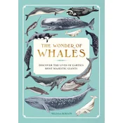 The Wonder of Whales