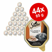 Mega pakiranje Sheba zdjelice 44 x 85 g - Classics pašteta s lososom