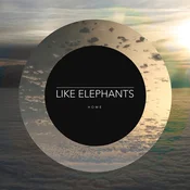 Like Elephants - Home (7)