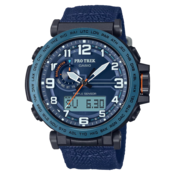 Sat CASIO PRG-601YB-2