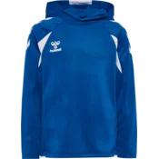 Hummel Mikica s kapuco Hummel Core 2.0 Hoody Kids