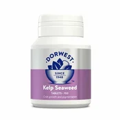 Pigmentacija dlake kod pasa i macaka – Dorwest Kelp Seaweed -