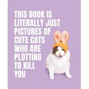 This Book is Literally Just Pictures of Cute Cats Who Are Plotting to Kill You