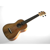 RISA Uke-Acoustic-Concert ukulele ACACIA UKA-CKK