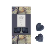 Ashleigh & Burwood Dišeči vosek za aroma lučko THE SCENTED HOME - ENCHANTED FOREST (začaran gozd), 8 kom