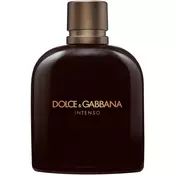 Dolce & Gabbana Pour Homme Intenso parfumska voda za moške 200 ml
