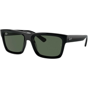 Ray-Ban Warren Naočare za sunce RB 0RB4396 667771