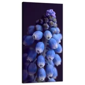 shumee Platno z motivom botaničnega cveta hijacinte 40x80 cm