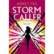 Storm Breaker 2