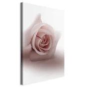 shumee Slika - Floral Glamour (1-delna) - nežna in pastelna vrtnica