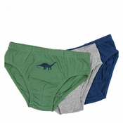 Lucky Kiddo spodnje hlače slip 3 kosi LK-BS1 223 020650 F modra 110/116