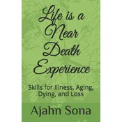 Life is a Near Death Experience