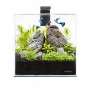 Aqualighter Aqua set pico 5l za beta ribe, kozice, rastline s filtrom LED lučka, podloga, pokrov, prozorna z
