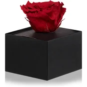 RoseAmor Red stabilizirana vrtnica v škatlici 1 kos