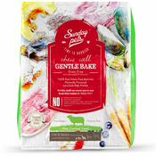 Sunday Pets Dog Gentle Bake Lite&Senior Small&Medium Lamb 1,3 kg