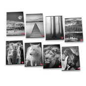 Zvezek A4 Black & White