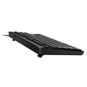 Genius tastatura LuxeMate 110 USB YU tanka crna