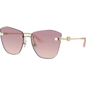 Jimmy Choo Naocare za sunce JC 4004HB 300668