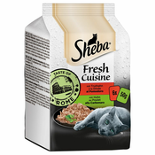 Ekonomično pakiranje Sheba Fresh Cuisine Taste of Rome 36 x 50 g - Piletina i puretina