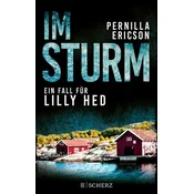 Im Sturm