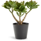 Veštačka biljka JOSTEIN V23cm zelena
