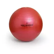 Lopta za pilates Secure Max velicina 1,55 cm ružicasta
