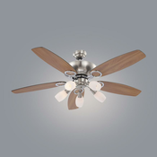 Globo Stropni Ventilator Dian