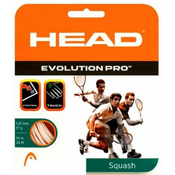 Žice za skvoš Head Evolution Pro (10 m) - white