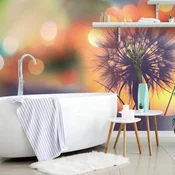 Tapeta žareča regratova lučka - 441x297