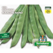 FIŽOL NIZKI STROČJI MARCONI NANO