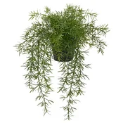 FEJKA Umetna lončnica, notranji/zunanji Puhasti asparagus/viseče, 12 cm