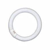 FLUORESCENTNA CEV PAULMANN LC G10q 40W/29-827 T9 3000K 4000870884409