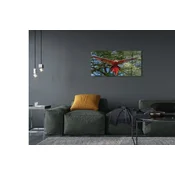 tulup.si Slika na akrilnem steklu Ara papiga 120x60 cm 4 obešalnika