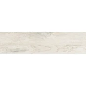North Wind Ivory Rettificato 22x90