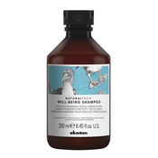 Davines Natural Tech Well-Being Shampoo negovalni šampon za mehke in sijoče lase 250 ml