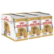 ROYAL CANIN ADULT YORKSHIRE 36 x 85 g - vrečka