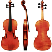 Violina 4/4 Maestro 45 Gewa – različni modeli
