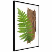 Poster - Expressive Ferm 20x30