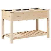 Vrtna saksija s policom Bež 115 x 59 x 76,5 cm Cvrsto drvo jele
