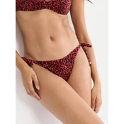 Triumph Spodnji del bikini Midnight Swim 10226526 Rjava