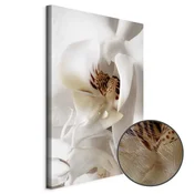 Slika - Drop Of Dreams (1 Part) Vertical 20x30