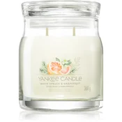 Yankee Candle White Spruce & Grapefruit