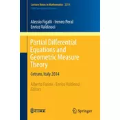 Partial Differential Equations and Geometric Measure Theory